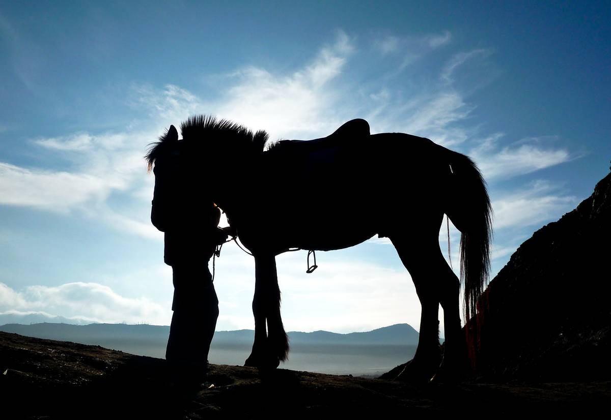 Лошади около вулкана Бромо