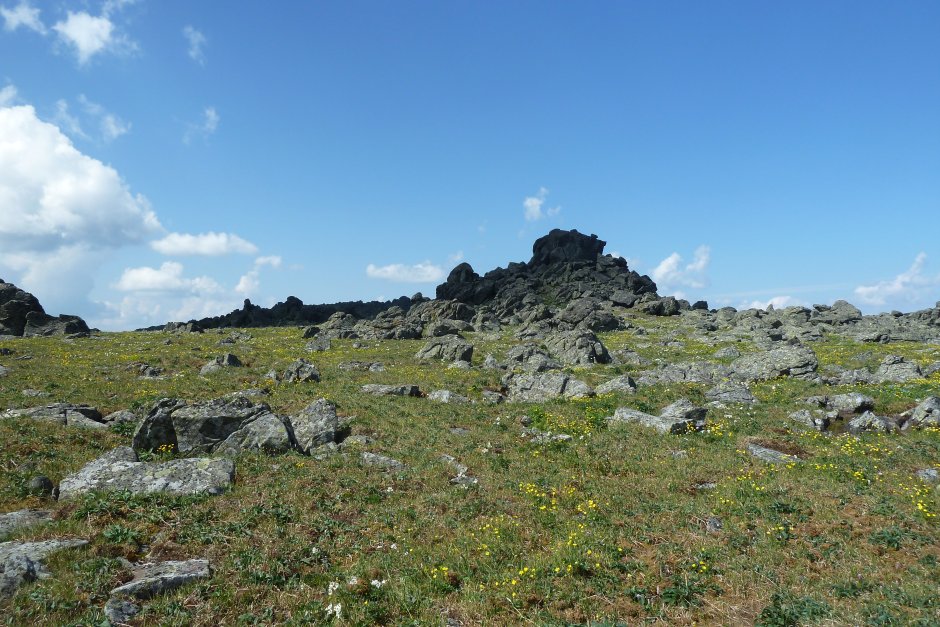 Косьвинский Камень, июль 2013