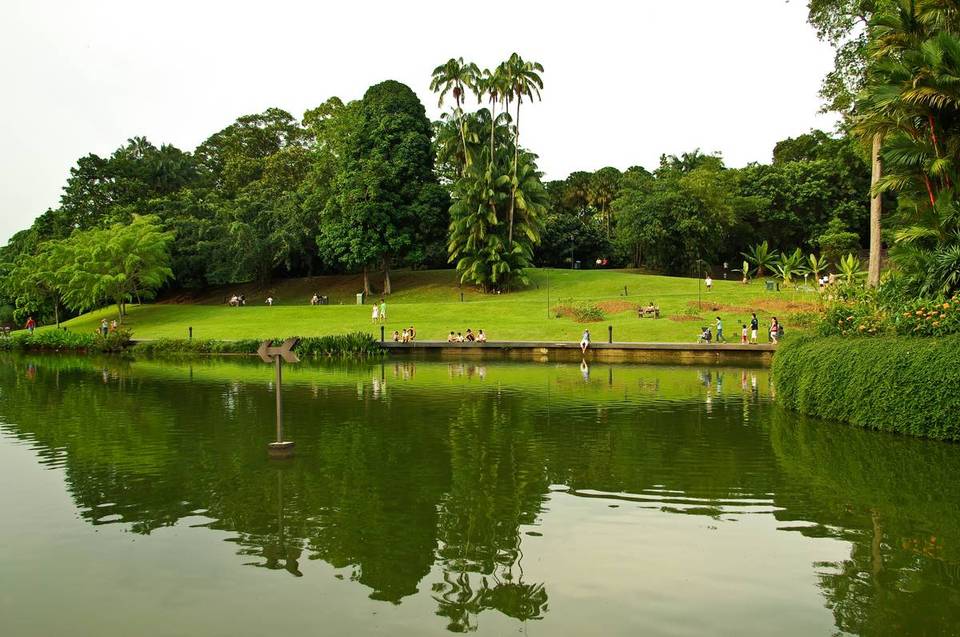Сингапурский ботанический сад