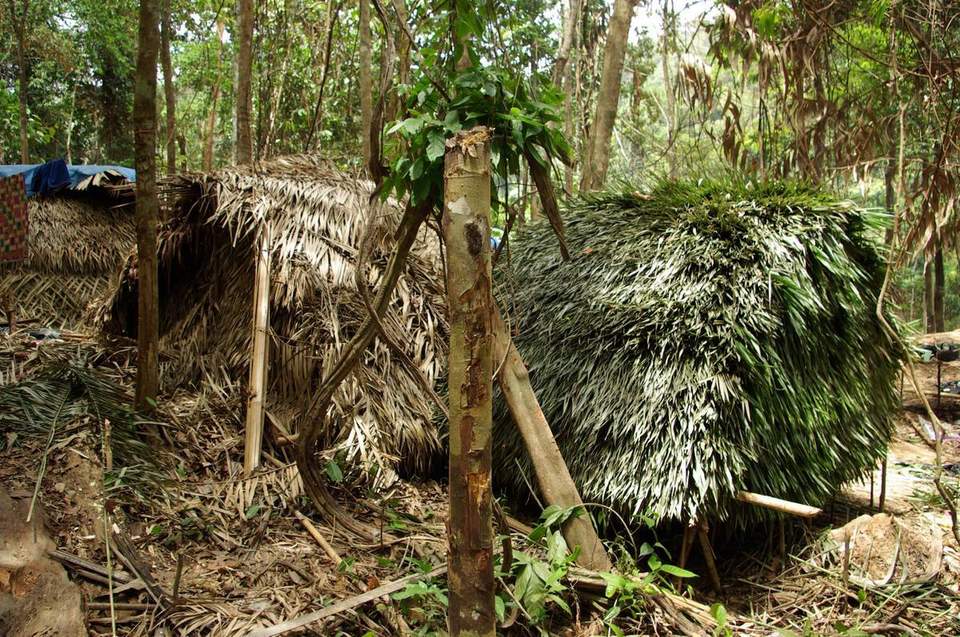 В джунглях Малайзии: Таман Негара